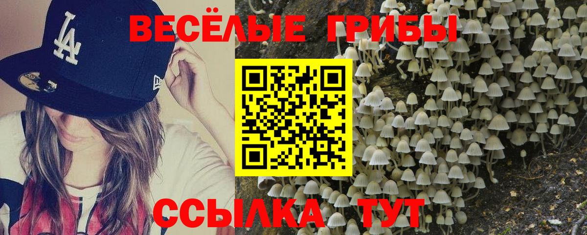 Галлюциногенные грибы Magic Shrooms Карпинск